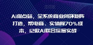 Ai终点站，全系统商业闭环矩阵打造，帮电商、实体降70%成本，12款Ai联合深度实战【0906更新】-沐风资源库