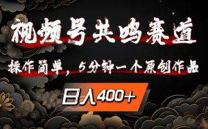 视频号共鸣赛道，操作简单，5分钟1个原创作品，日入几张【揭秘】-沐风资源库
