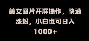 美女图片开屏操作，快速涨粉，小白也可日入1k【揭秘】-沐风资源库