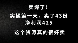 这个资源，需求很大，实操第一天卖了43份，净利润425【揭秘】-沐风资源库
