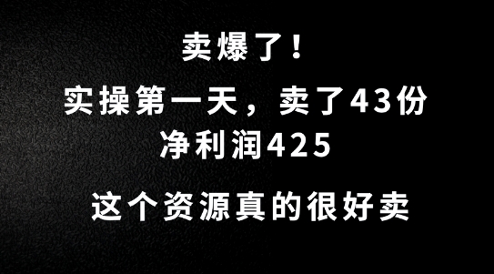 这个资源，需求很大，实操第一天卖了43份，净利润425【揭秘】-沐风资源库