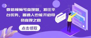 微信视频号变现营，抓住平台优势，普通人也能开启带货变现之路-沐风资源库