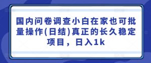 国内问卷调查小白在家也可批量操作(日结)真正的长久稳定项目，日入1k【揭秘】-沐风资源库