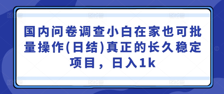 国内问卷调查小白在家也可批量操作(日结)真正的长久稳定项目，日入1k【揭秘】-沐风资源库