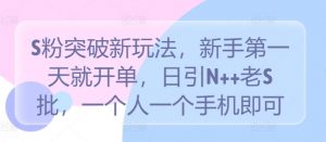S粉突破新玩法，新手第一天就开单，日引N++老S批，一个人一个手机即可【揭秘】-沐风资源库
