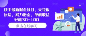 快手最新掘金项目，天花板玩法，暴力撸金，单机收益轻松30-100-沐风资源库