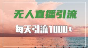 抖音快手视频号全平台通用，无人直播引流法，超暴力引流1000+高质量精准创业粉【揭秘】-沐风资源库