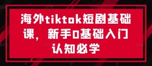 海外tiktok短剧基础课，新手0基础入门认知必学-沐风资源库