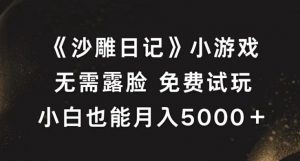 《沙雕日记》小游戏，无需露脸免费试玩，小白也能月入5000+【揭秘】-沐风资源库