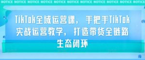 TikTok全域运营课，手把手TikTok实战运营教学，打造带货全链路生态闭环-沐风资源库