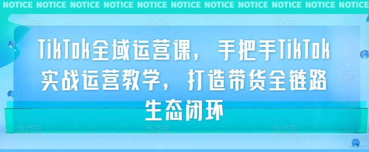 TikTok全域运营课，手把手TikTok实战运营教学，打造带货全链路生态闭环-沐风资源库