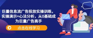 巨量信息流广告投放实操训练，实操演示+心法分析，从0基础成为巨量广告高手-沐风资源库