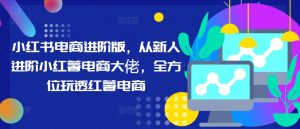 小红书电商进阶版，从新人进阶小红薯电商大佬，全方位玩透红薯电商-沐风资源库