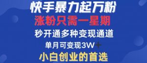 快手暴力起万粉,涨粉只需一星期,多种变现模式,直接秒开万合,单月变现过W【揭秘】-沐风资源库
