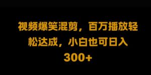 视频号零门槛，爆火视频搬运后二次剪辑，轻松达成日入1k【揭秘】-沐风资源库
