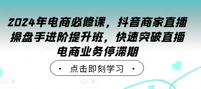 2024年电商必修课，抖音商家直播操盘手进阶提升班，快速突破直播电商业务停滞期-沐风资源库