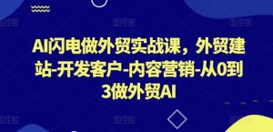 AI闪电做外贸实战课，​外贸建站-开发客户-内容营销-从0到3做外贸AI（更新）-沐风资源库