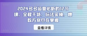 2024多多运营必听的12节课，全程干货，玩法实操，爆款方案尽在掌握-沐风资源库
