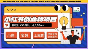 小红书创业粉项目日+500粉，每天20分钟躺赚长尾收益，无脑操作，宝妈，小白抓紧冲【揭秘】-沐风资源库