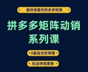 拼多多矩阵动销系列课，能持续盈利的多多矩阵，0基础也听得懂，玩法持续更新-沐风资源库