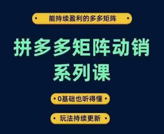 拼多多矩阵动销系列课，能持续盈利的多多矩阵，0基础也听得懂，玩法持续更新-沐风资源库