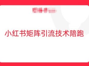 小红书矩阵引流技术，教大家玩转小红书流量-沐风资源库