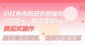小红书无脑每日引流创业粉500+，小白每天只花半小时，躺赚长尾收益【揭秘】-沐风资源库