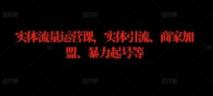 实体流量运营课，实体引流、商家加盟、暴力起号等-沐风资源库