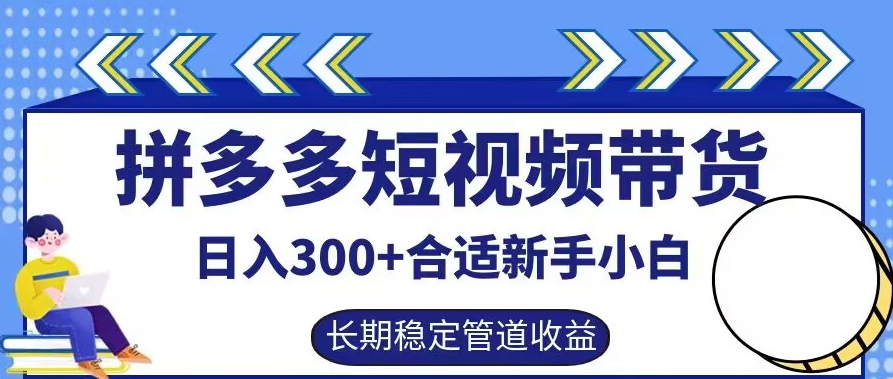 拼多多短视频带货日入300+有长期稳定被动收益，合适新手小白【揭秘】-沐风资源库