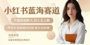 小红书蓝海赛道，圈中高端职场人，月入无上限，可矩阵，内含私域实操教程!-沐风资源库