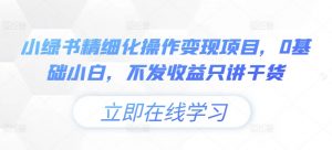 小绿书精细化操作变现项目，0基础小白，不发收益只讲干货-沐风资源库