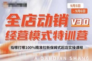 全店动销经营模式特训营，指哪打哪100%精准拉新保姆式起店实操课程-沐风资源库