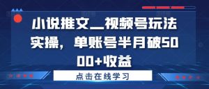 小说推文—视频号玩法实操，单账号半月破5000+收益-沐风资源库