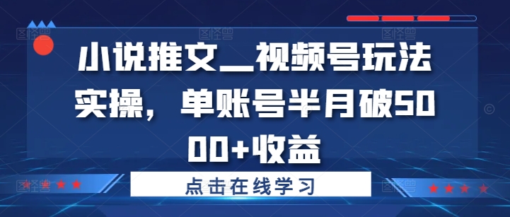 小说推文—视频号玩法实操，单账号半月破5000+收益-沐风资源库