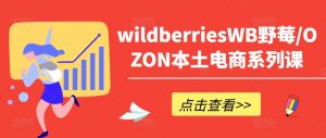 wildberriesWB野莓/OZON本土电商系列课，掌握WB产品优化，出单技巧和订单处理等-沐风资源库