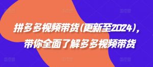 拼多多视频带货(更新至2024)，带你全面了解多多视频带货-沐风资源库
