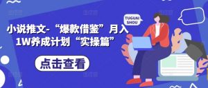 小说推文-“爆款借鉴”月入1W养成计划“实操篇”-沐风资源库