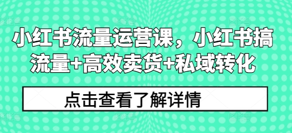 小红书流量运营课，小红书搞流量+高效卖货+私域转化-沐风资源库