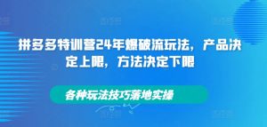 拼多多特训营24年爆破流玩法，产品决定上限，方法决定下限，各种玩法技巧落地实操-沐风资源库