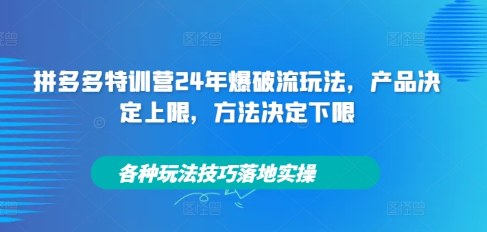拼多多特训营24年爆破流玩法，产品决定上限，方法决定下限，各种玩法技巧落地实操-沐风资源库