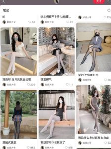 AI打造网红账号，一周收入超5位数，还能矩阵操做-沐风资源库