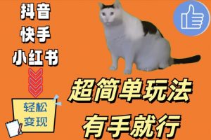 超简单玩法，有手就行，靠猫咪视频日入500+【揭秘】-沐风资源库