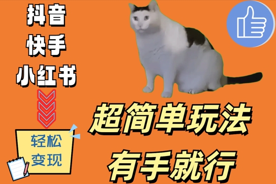 超简单玩法，有手就行，靠猫咪视频日入500+【揭秘】-沐风资源库