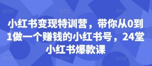 小红书变现特训营，带你从0到1做一个赚钱的小红书号，24堂小红书爆款课-沐风资源库