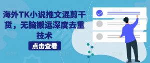海外TK小说推文混剪干货，无脑搬运深度去重技术-沐风资源库