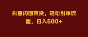 抖音闪图带货，轻松引爆流量，日入几张【揭秘】-沐风资源库