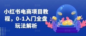 小红书电商项目教程，0-1入门全盘玩法解析-沐风资源库