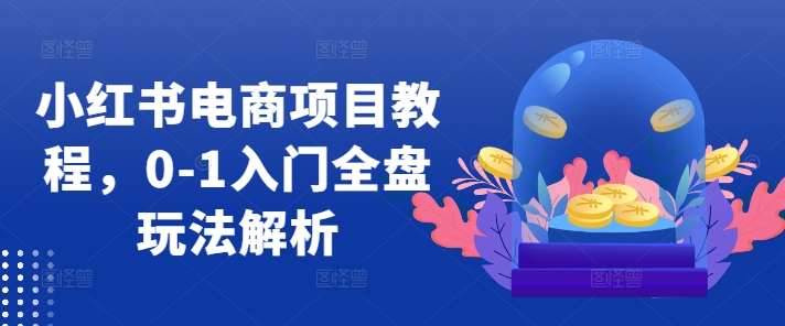 小红书电商项目教程，0-1入门全盘玩法解析-沐风资源库