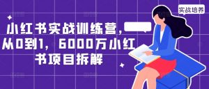 小红书实战训练营，从0到1，6000万小红书项目拆解-沐风资源库