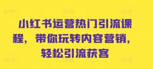 小红书运营热门引流课程，带你玩转内容营销，轻松引流获客-沐风资源库